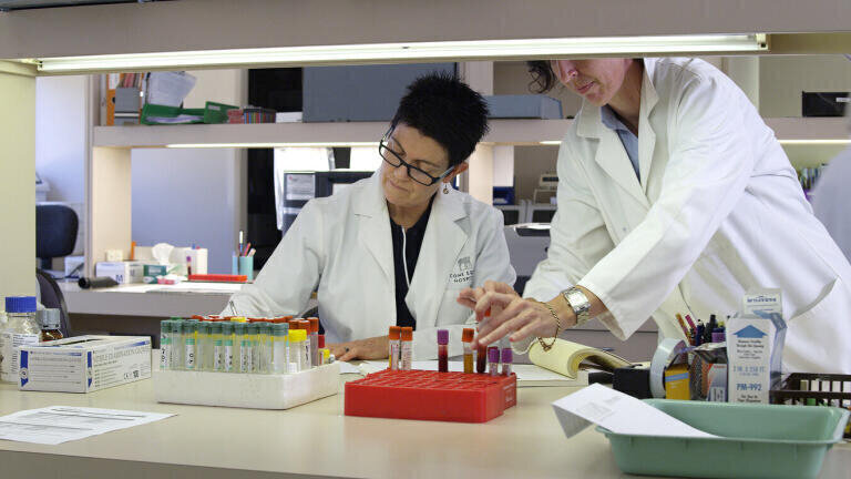 Veterinary Group Opts for Workflow Management